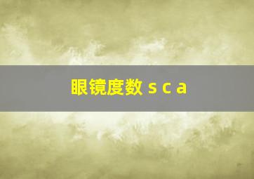 眼镜度数 s c a